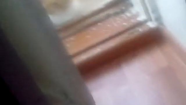 Барсика клонит в сон смотреть онлайн