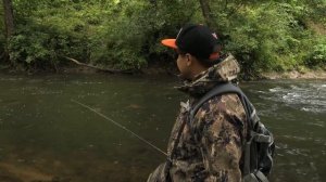 Рыбалка в Калининграде. Окунь и форель на ультралайт