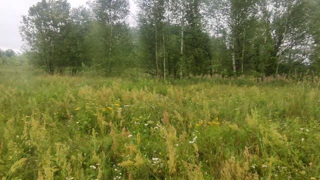 Цена 230 тыс.руб. Тел.8967-041-75-24.Продам зем.участок 21 сотка в с.Пустоша г.Шатура Московская обл