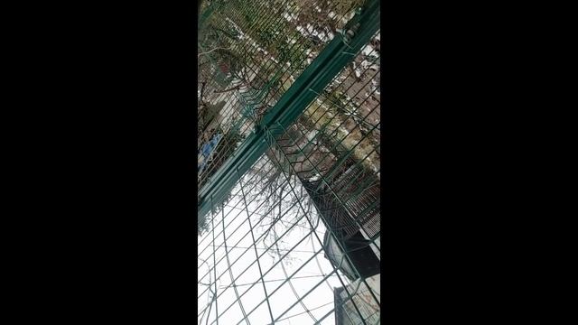 ВЛОГ: Дача // ЗЛО в маске ДОБРА смотреть онлайн