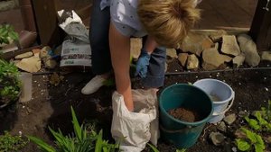 ПОСАДКА РОЗЫ ВЕСНОЙ Самые удобные способы посадки