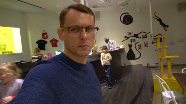 Таллин Эстония | Cat Cafe Nurri | #Авиамания в Кэт кафе