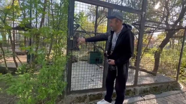 Мы возвращаемся из клиники домой, Маняшка устала и заснула)