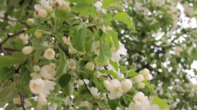 МОЙ ПУТЬ ФОТОГРАФА смотреть онлайн