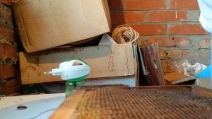 Мечение маток-тренировка-как метить маток маркером