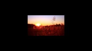 ХОРОШО В ДЕРЕВНЕ -ДЕБЮТ -Песни под гитару - Алексей Доктор Леший -  бард