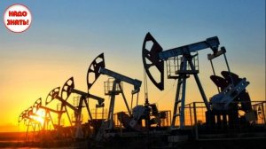 Откуда взялась нефть?