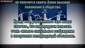 К чему снится Сало сонник, толкование сна