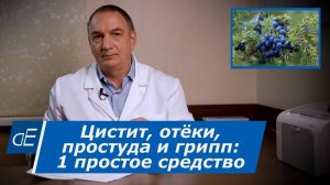 Цистит, Отёки, вирусы, Простуда и Грипп - 1 простое и полезное средство:  Плоды Можжевельника.