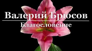 Валерий Брюсов - Благословение