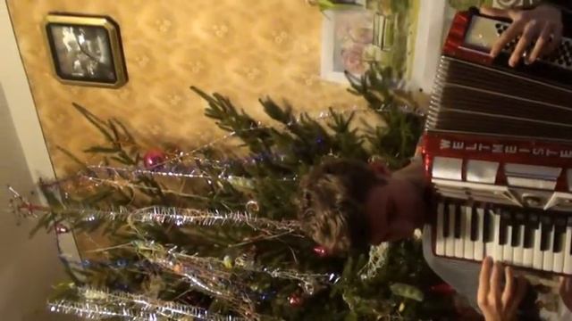 Чистые Пруды - Игорь Тальков  (подобрал сам на Аккордеоне) смотреть онлайн