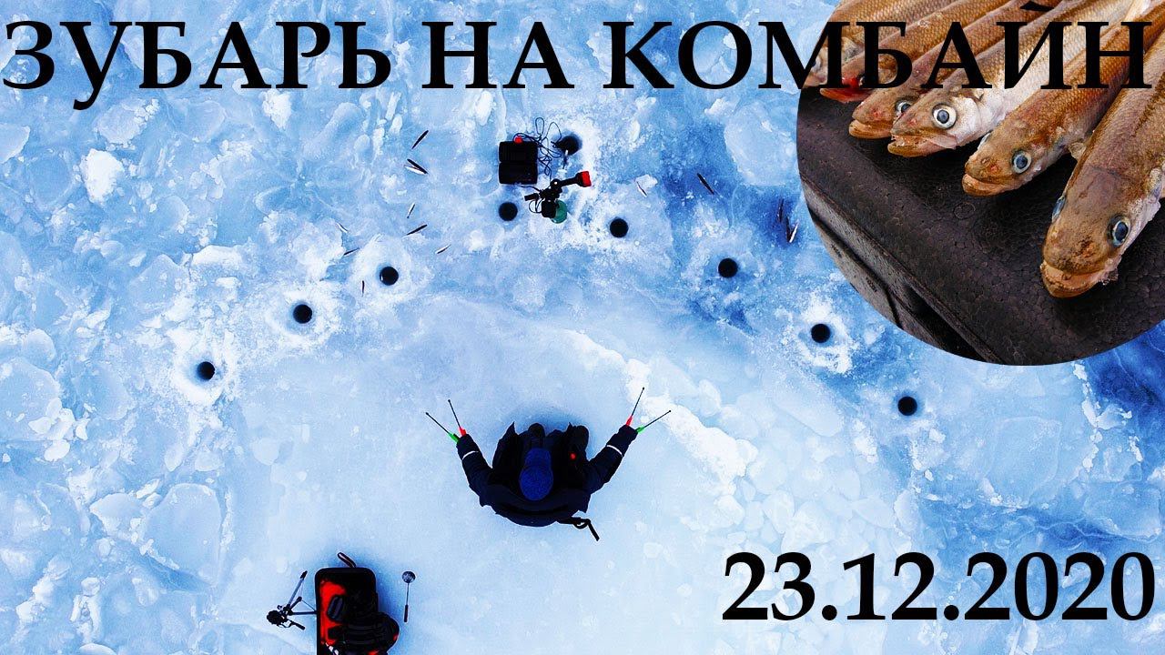 ЗУБАРЬ 23.12.2020! РЫБАЛКА НА КОМБАЙНЫ.