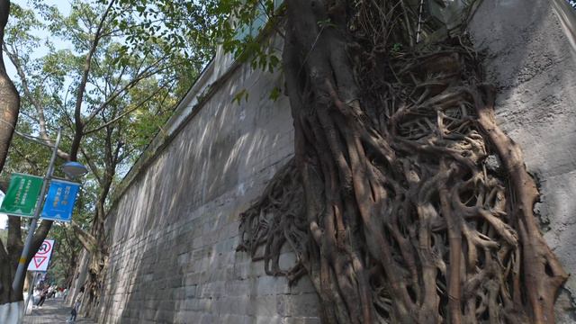 Chongqing (Sony a1 4k) смотреть онлайн