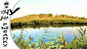 Осеннее утро. Щука лесной речки на воблеры.