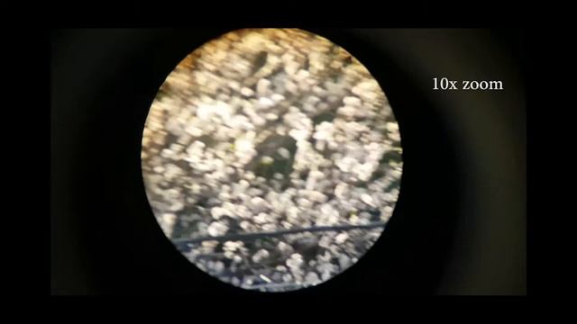 Boshile Roof BAK4 Prism 10 - 100 x 32 Monocular from GearBest.com смотреть онлайн