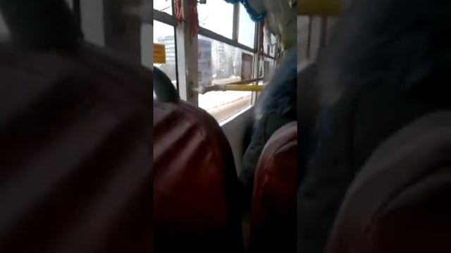 УЛЬЯНОВСК! Новогодний автобус!