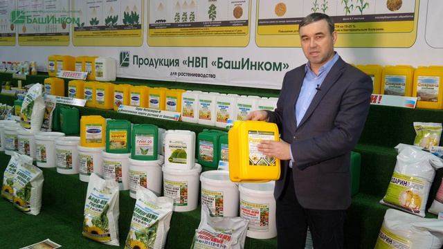 Зернобобовые культуры - технология возделывания