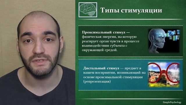 Когнитивная психология восприятия #23. Экологическая теория Гибсона.