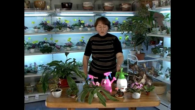 3_Полив и опрыскивание. Уход за комнатными растениями. Часть 3 смотреть онлайн