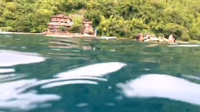 More Eagle Rays at Portulano House Reef!