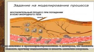 Лейкоциты в кале у ребенка
