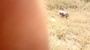 Казахстан город Есиль 2019 VID 20190807 120046