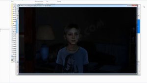 RPCS3 настройка эмулятора для The Last of Us (Одни из нас)