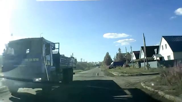 Русский Хатико бежит домой смотреть онлайн