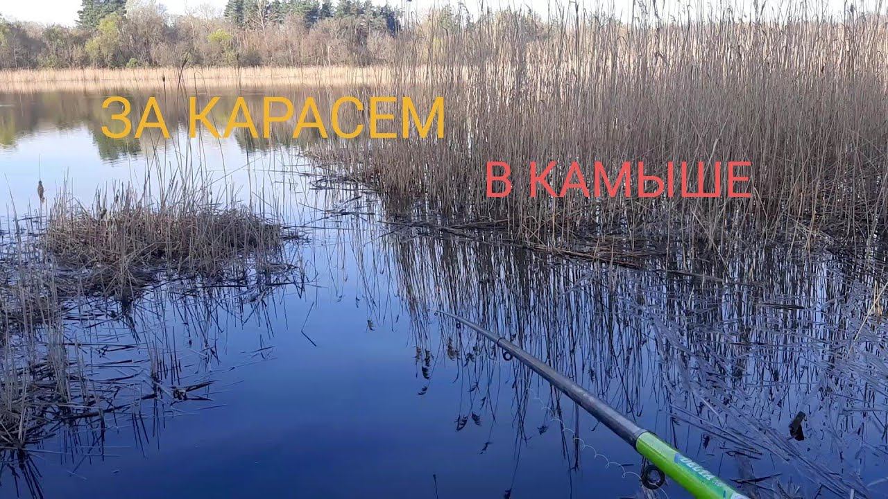 АПРЕЛЬСКИЙ КАРАСЬ НА ОЗЕРЕ БЛИЗ ДОНА смотреть онлайн