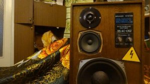 Лучшие колонки в мире! ) S90 на Alphard часть 1