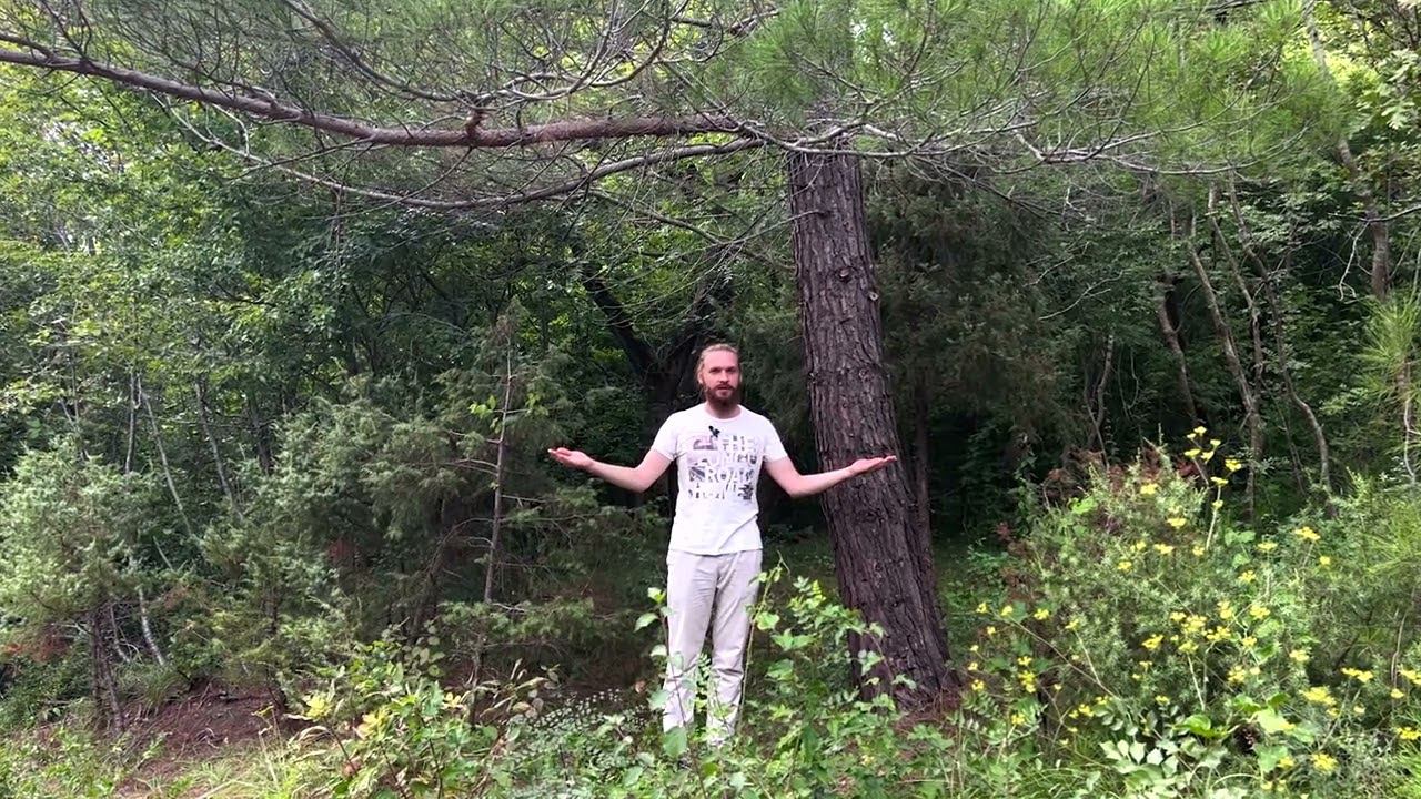 Отказ или не приятие Родных, Родителей, РОДа. смотреть онлайн