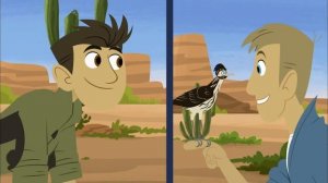 2-16 Братья Кратт - Кукушка-подорожник / Wild Kratts - Roadrunner