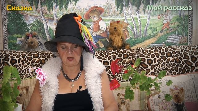 Звездная сказка о любви. Глава 38 смотреть онлайн