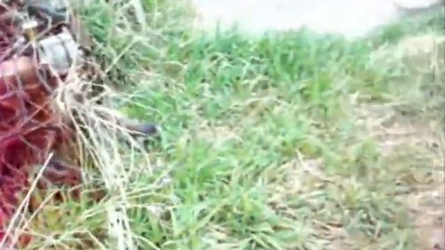 Around the barn looking at Oldsmobile parts.wmv смотреть онлайн