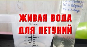 24 января. ЖИВАЯ ВОДА ДЛЯ ПЕТУНИЙ.mp4