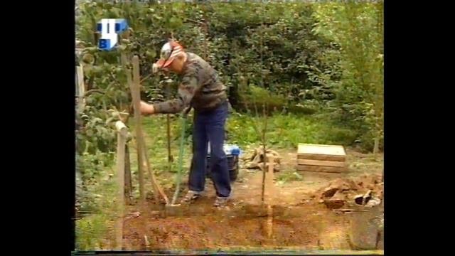 2001 г. твц: Наш сад: посадка саженцев плодовых деревьев