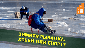 Зимняя рыбалка: хобби или спорт? В Нижегородской области прошла "Чкаловская рыбалка"