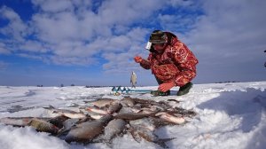 КОСЯК В ЛУНКЕ, КАК ОСТАНОВИТЬСЯ? ПРОБУРИЛ НА МЕЛЯКЕ, НАЛОВИЛ МНОГО РЫБЫ. Зимняя рыбалка на мормышку.