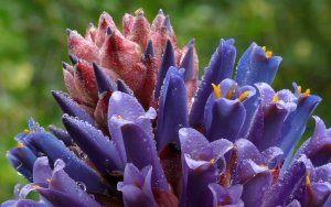 ВАЛЬС «Пуйя Раймонди» РЕЛАКС АРТ-ТЕРАПИЯ ИМПРОВИЗАЦИЯ композитор Виктор Михайлович Анохин