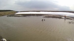 На Ниве на рыбалку/