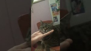Я помыла голову
