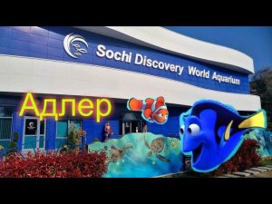 Сочинский океанариум Sochi Discovery World Aquarium,Океанариум В Адлере.