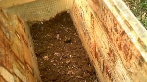 рогатый улей, нового поколение, без рамочный улей