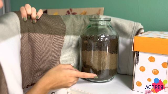 Частная начальная школа АСТРЕЯ