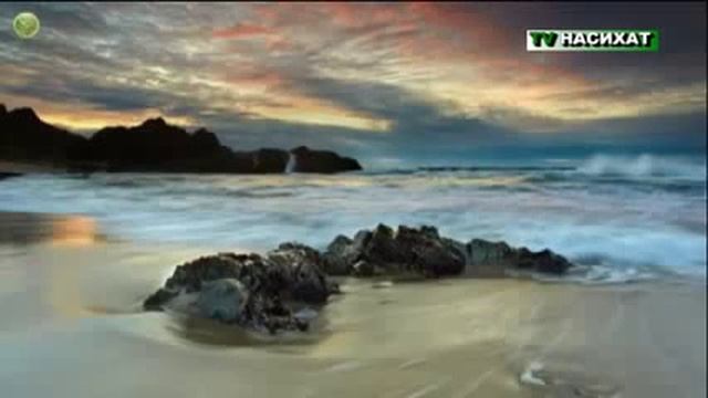 Важность молитвы в Исламе Тв насихат