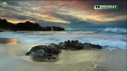 Важность молитвы в Исламе Тв насихат