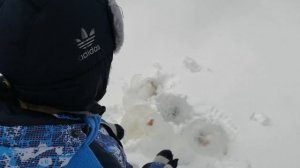 Извержение вулкана с лавой и яйца динозавров. Приключения Даника и папы.