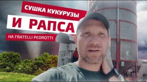 Сушка кукурузы и рапса на мобильной зерносушилке Fratelli Pedrotti