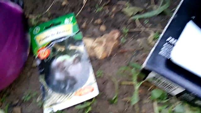 Вот это БАКЛАЖАН РОНДЕ ДЕ ВАЛЕНС