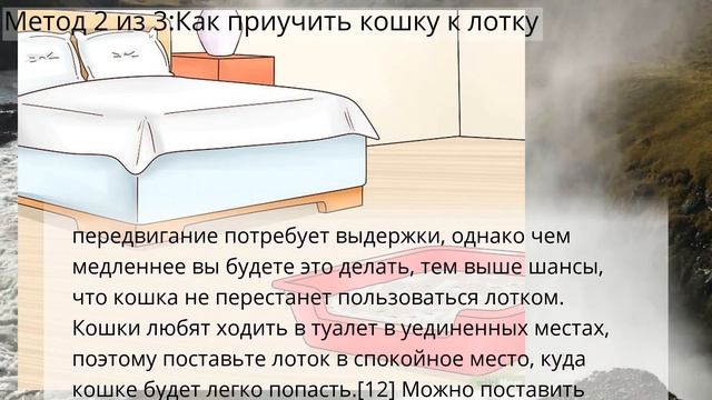 Как отучить кошку мочиться на постель смотреть онлайн